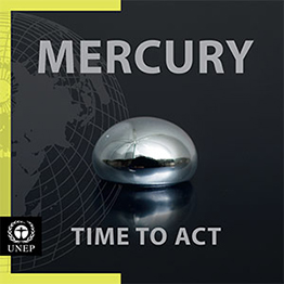 UN Environment: Global Mercury Assessment Report