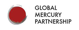 UN Environment: Global Mercury Partnership